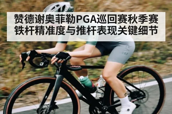 赞德谢奥菲勒PGA巡回赛秋季赛铁杆精准度与推杆表现关键细节